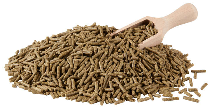 BERKEL FUTTER Chinchilla-Gold-KR